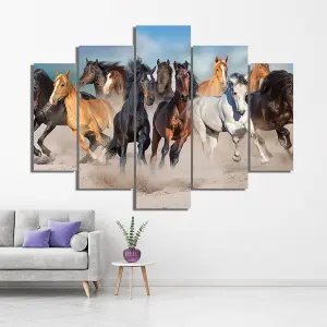 CABALLOS 78