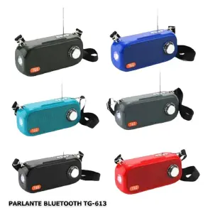 PARLANTE TG-613