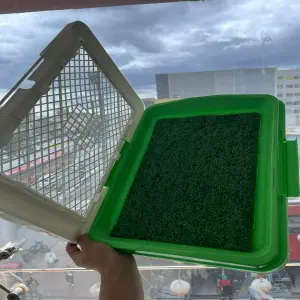 Tapete absorbente para mascota