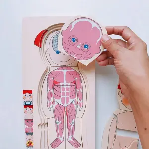 Rompecabezas Didáctico Sistemas Cuerpo