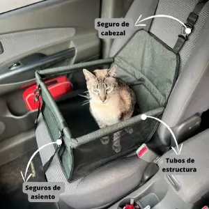 Silla de carro para mascotas