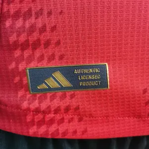 CAMISETA FC BAYERN VERSION PLAYER 24/25