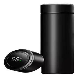 termo digital