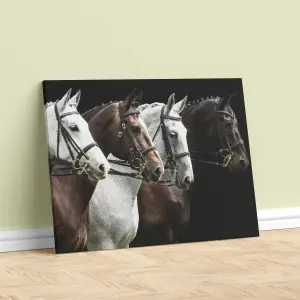 CABALLOS LIENZO 12