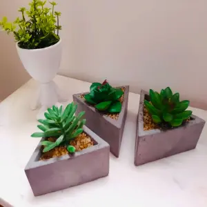 Suculenta Decorativa Matero Triangular