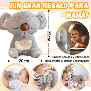 KOALA DE APOLLO