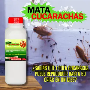 Polvo Mata cucarachas - veneno 350G