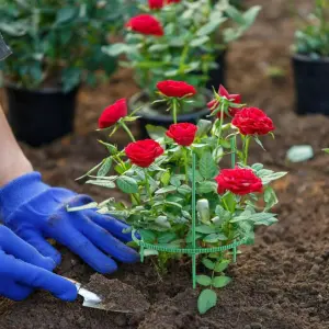 SOPORTE PARA PLANTAS