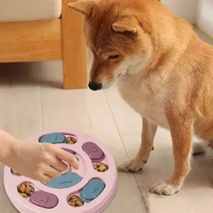 Comedero didactico para mascota tazon
