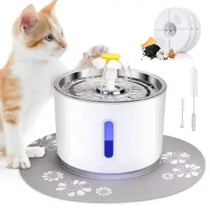 Fuente Para Mascota