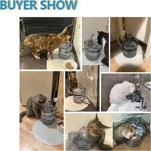 fuente de agua para gatos con sensor