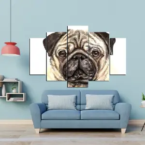 PERRO 53
