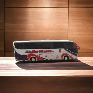 bus flota san vicente