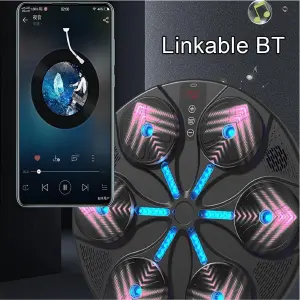 Maquina De Boxeo  Bluetooth STC-10