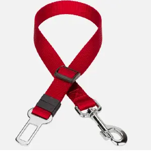 CINTURON CUELLO PARA PERROS MK - 071