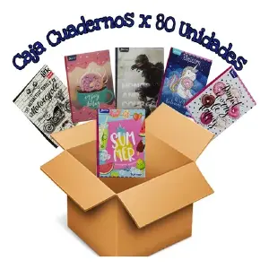 caja cuadernos de 100 hojas surtida