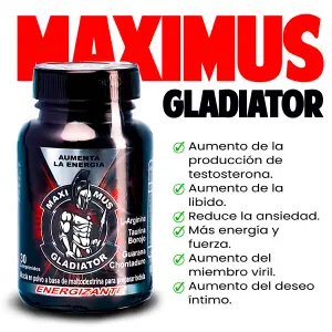 GLADIADOR 1