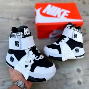 LEBRON II