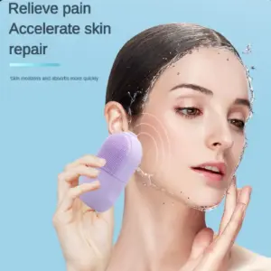 MOLDE HIELO FACIAL LIMPIADOR