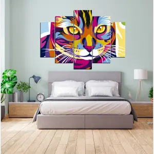 GATO 50