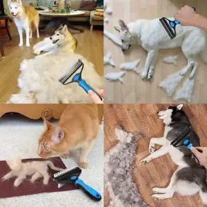 pet grooming