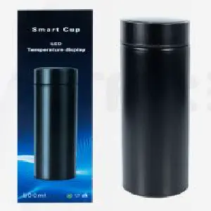 Termo Digital