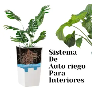 Maceta Autoriego Grande para Plantas: Cultiva con Confianza - Maceta Autoriego Grande Para Plantas