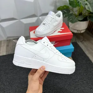 AF1 1.1