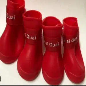 zapatos para perro talla M