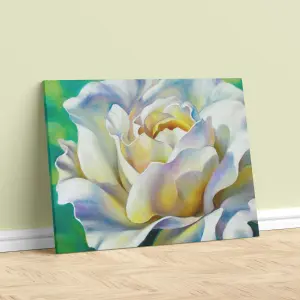 FLORES LIENZO 18
