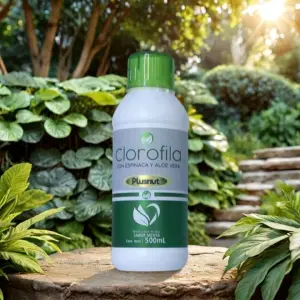 Clorofila Plusnut | Detox Natural
