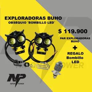 COMBO BUHO LUPA