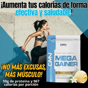 TN - MEGA GAINER PROTEINA
