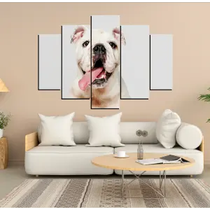 PERRO 137