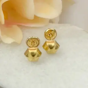 Topos De Seguridad De Dama De Diseño De