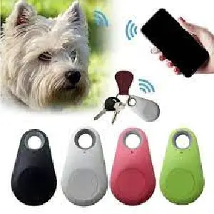 Localizador GPS para Mascotas y Llaves: ¡Nunca más los perderás! - Localizador GPS Mascotas llaves