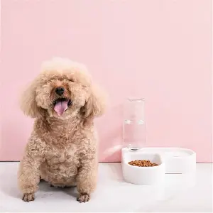 Dispensador de alimento perro y gato