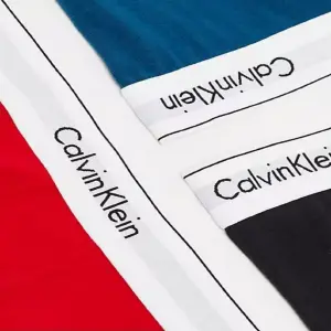 BOXER CALVIN KLEIN PACK X 10