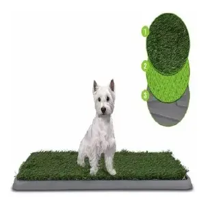 TAPETE BAÑO POTTY PATCH PARA MASCOTAS: Adiós a los accidentes! - TAPETE BAÑO POTTY PATCH PARA MASCOTAS