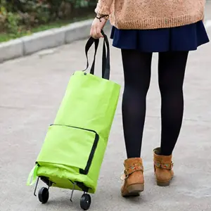 Carrito De Compras Con Ruedas Plegable