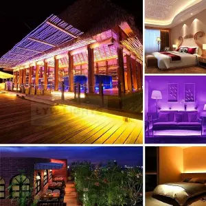 Kit X 5mts Completo Manguera Luces Led