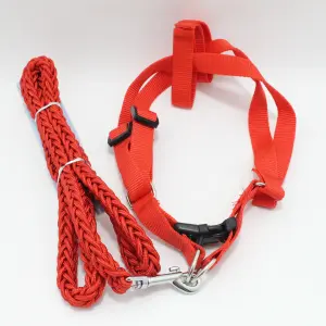 COLLAR CUERPO MASCOTA 1.2M
