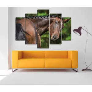 CABALLOS 15
