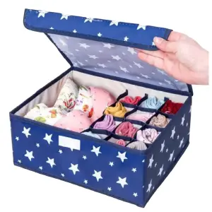 Organizador De Ropa Interior con Tapa