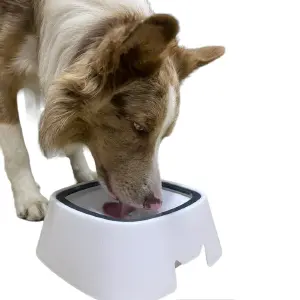 Bol sin Salpicaduras para Mascotas