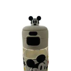 Termo De Disney
