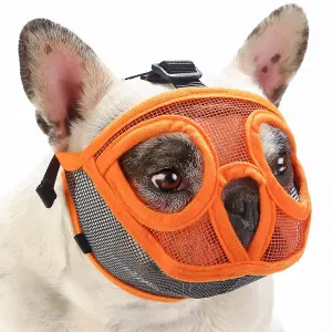 BOZAL SHORT SNOUT PERRO CHATO M
