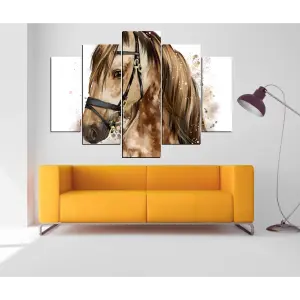 CABALLOS 16