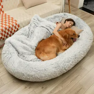 CAMA DE PERROS PARA HUMANOS