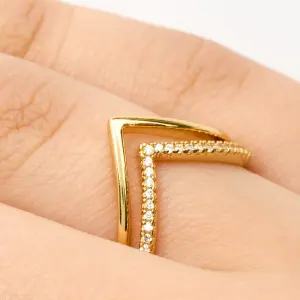 ANILLO V